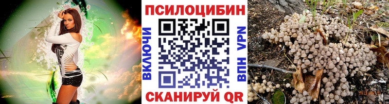 Купить  Правдинск  Псилоцибиновые грибы GOLDEN TEACHER 