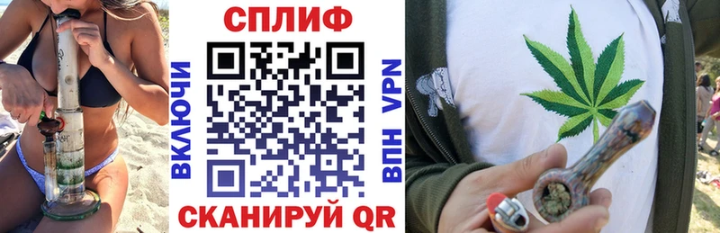 Купить где  Правдинск  Бошки марихуана сатива 
